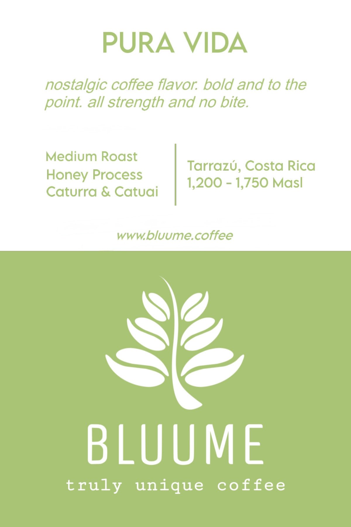 Pura Vida ~ Costa Rica - Image 2