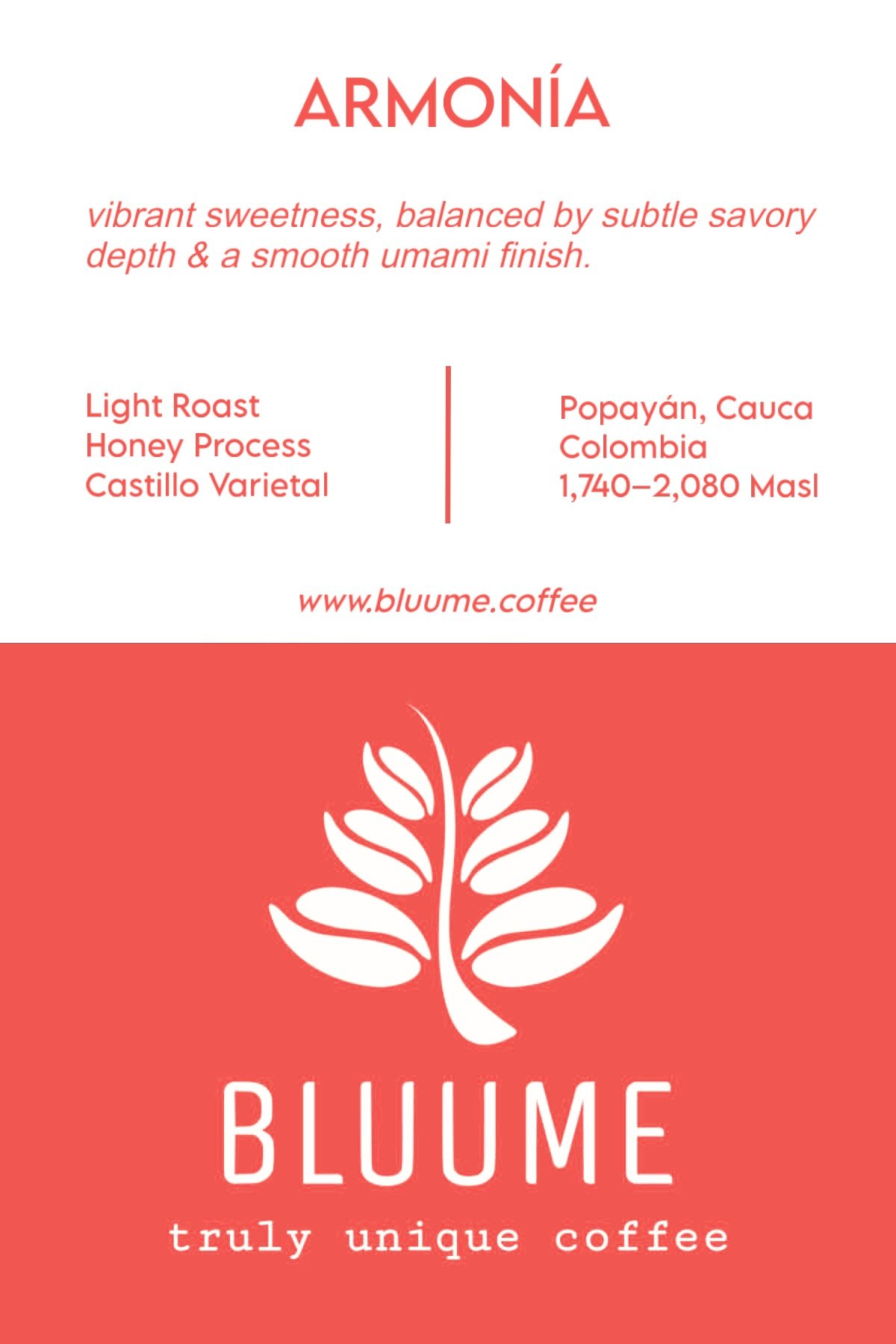 Armonía ~ Colombia - Image 2